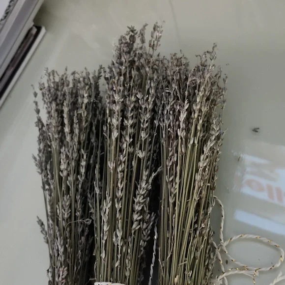 Last three bundles of Kentucky grown lavender - Picture 5 of 5